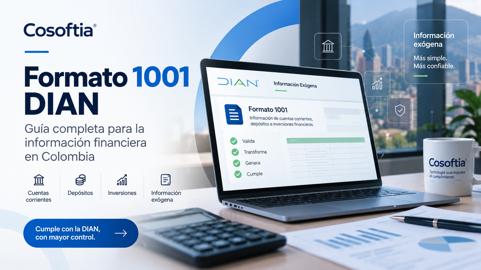 Formato 1001 DIAN: guía de información financiera en Colombia