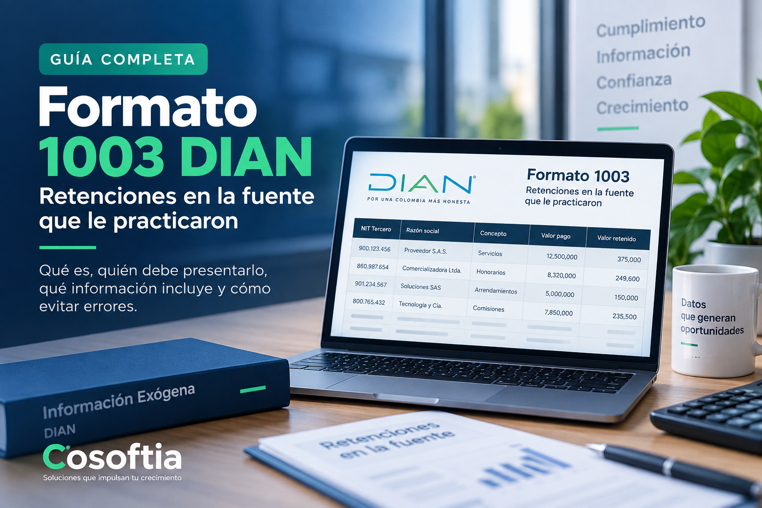 Formato 1003 DIAN de retenciones en la fuente
